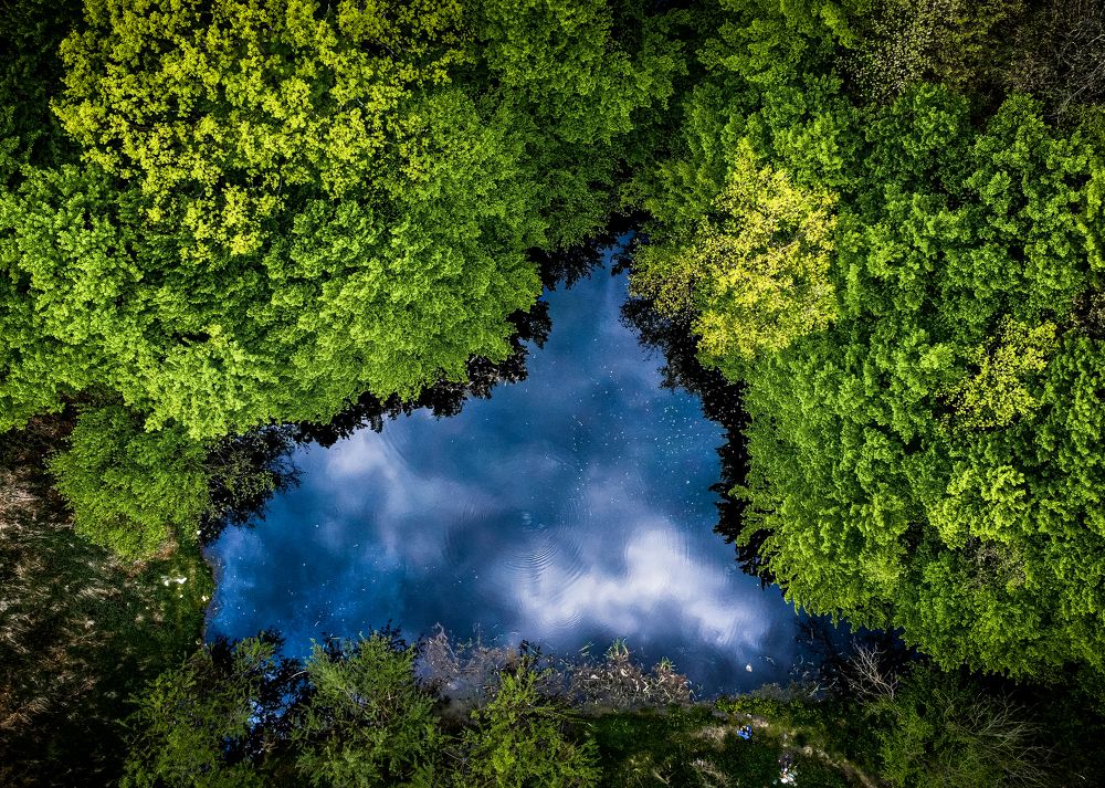 Photograph by Ivan Mandic