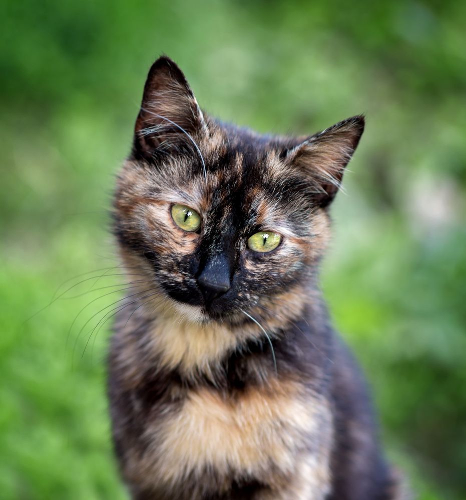 Photograph by Ольга Рагинская