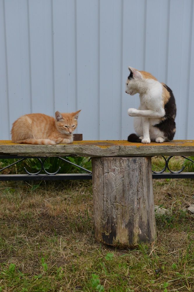 Photograph by Альфия Бикмухаметова