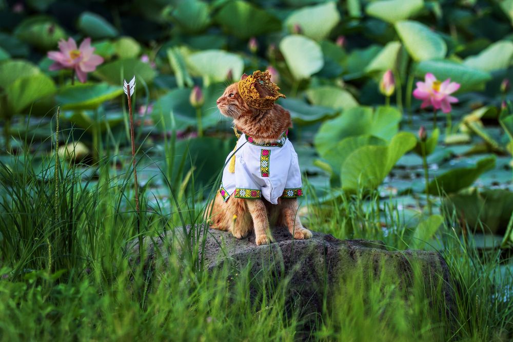 Photograph by Мария Маркина