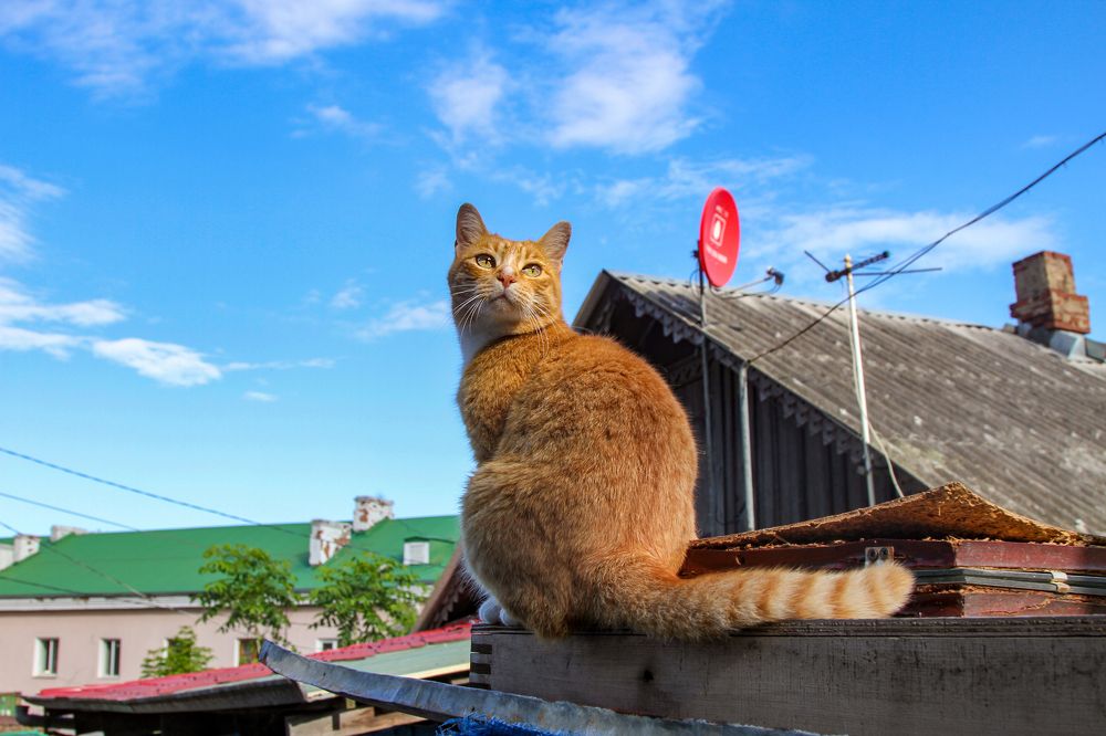 Photograph by Мария Маркина