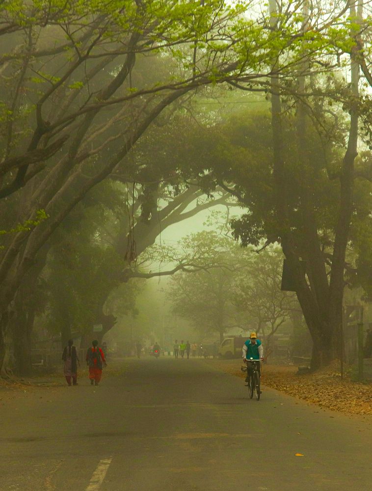 Photograph by Partho Kundu