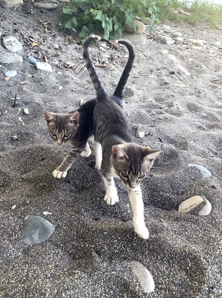 Photograph by Вера Короткова