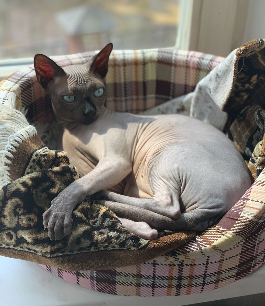 Photograph by Вера Короткова