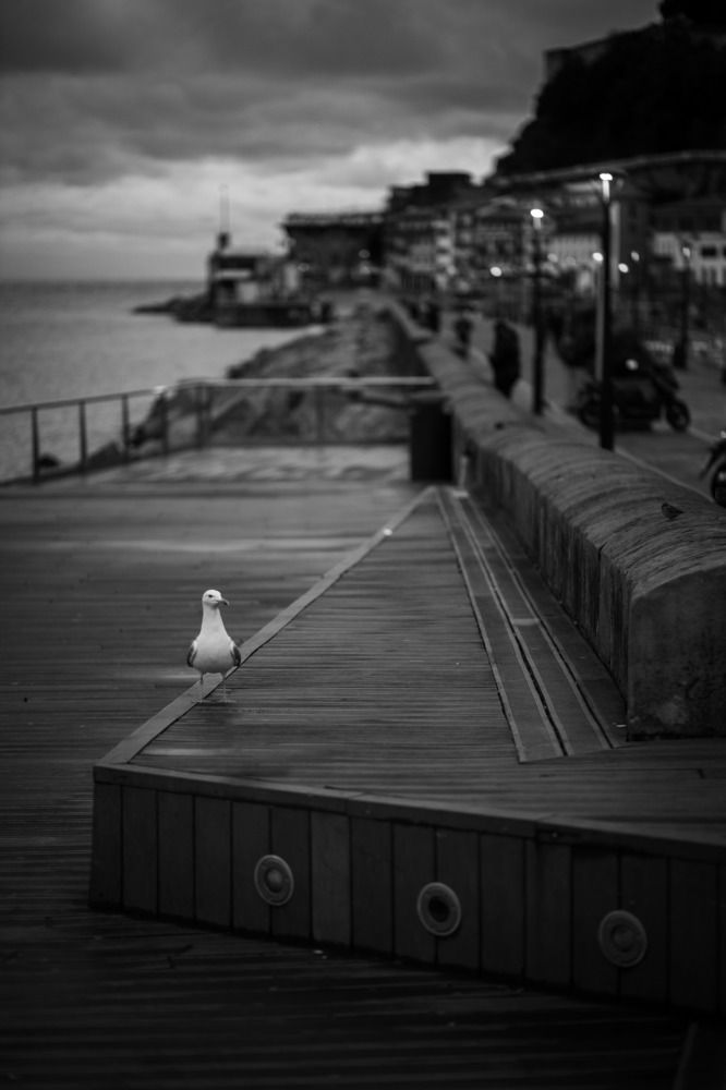 Photograph by Rober Aja