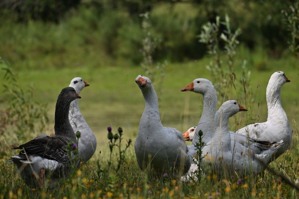 Фотография автора IRINA FILIPPOVA