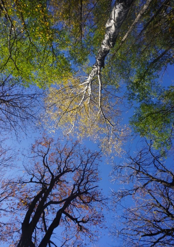 Лето и Осень.