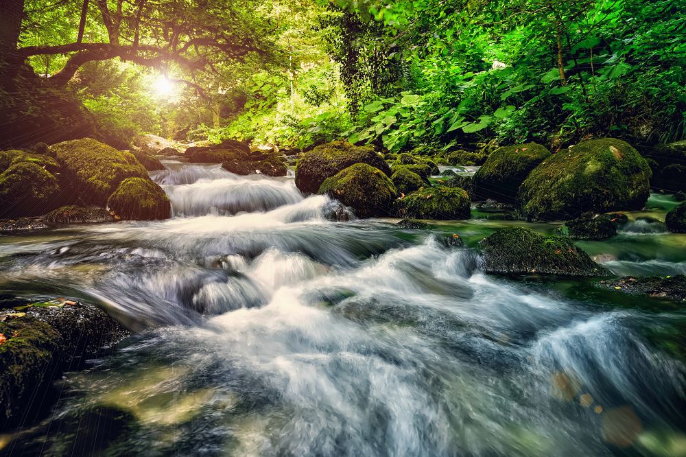 Photograph by Парахина Любовь