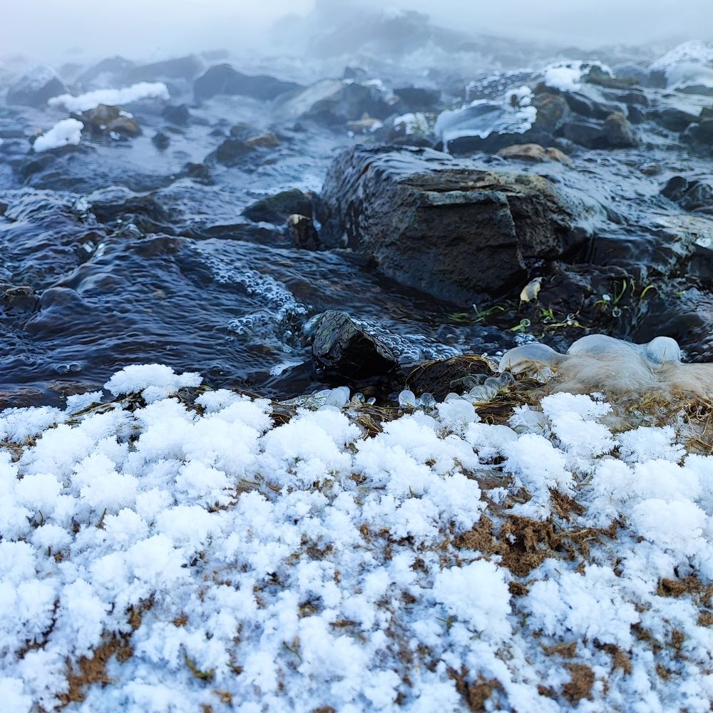 Photo #8987363