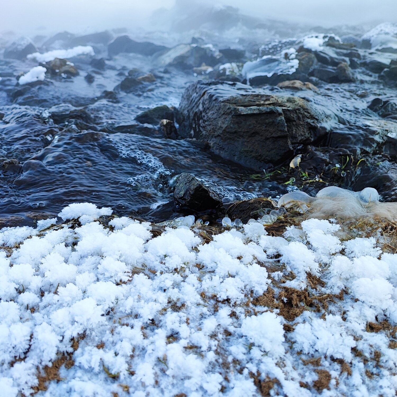Photo #8987363
