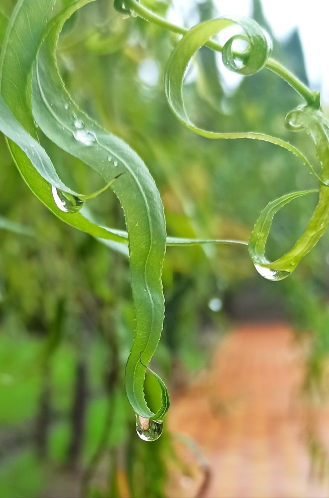 Photograph by Ольга Тихонова