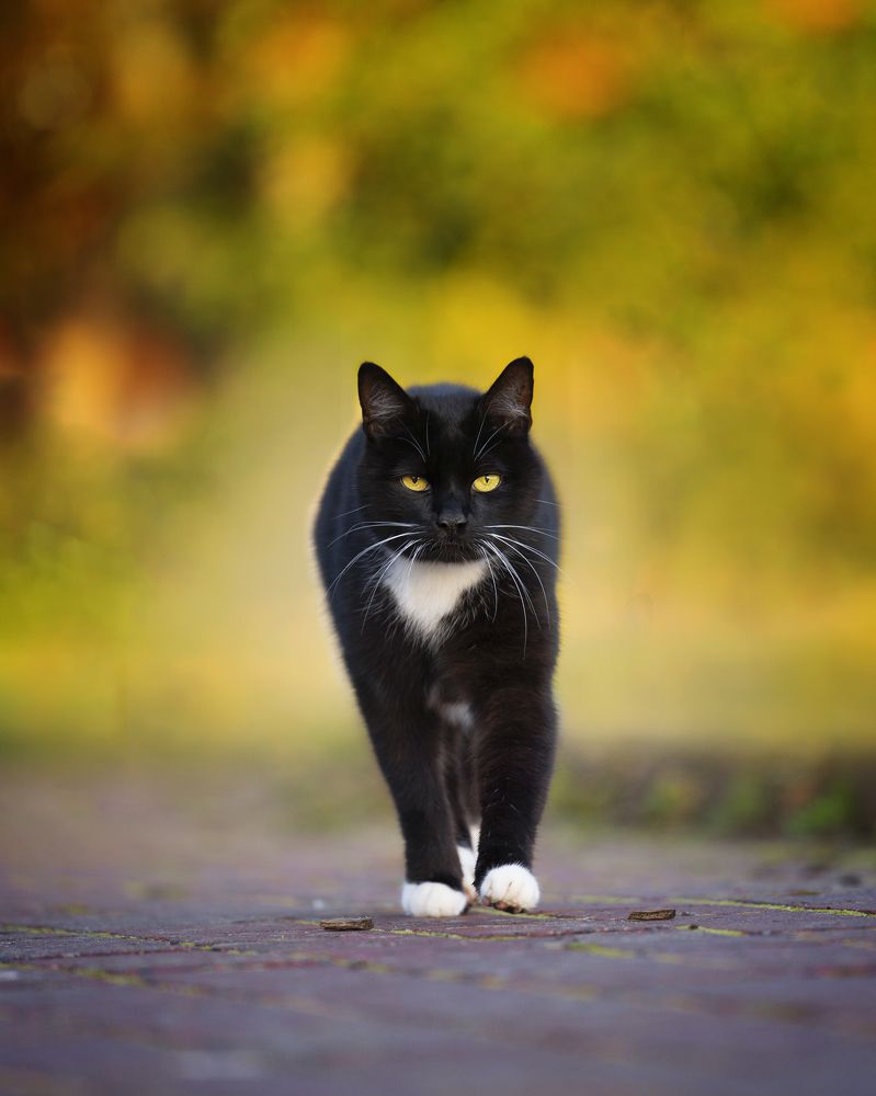 Photograph by Larianna Holm