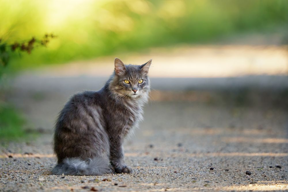 Photograph by Larianna Holm