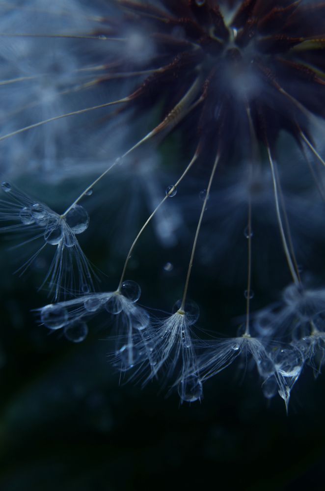 Photograph by Валерия Мандрика