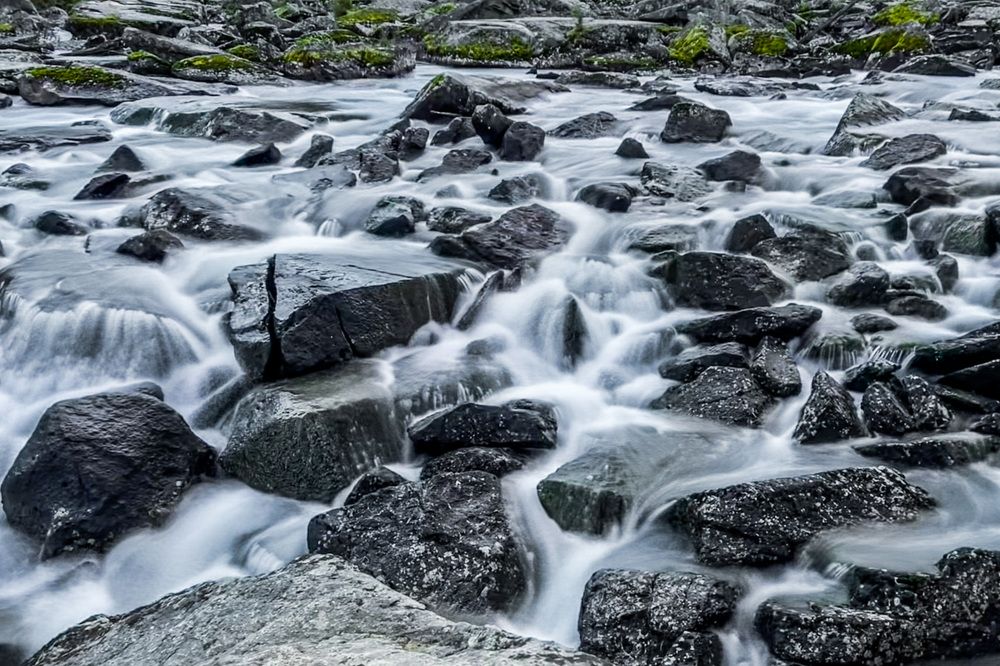 Photograph by Никита Борзов