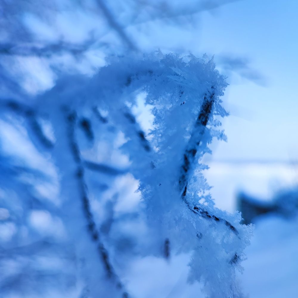 Photograph by Анна Майкос