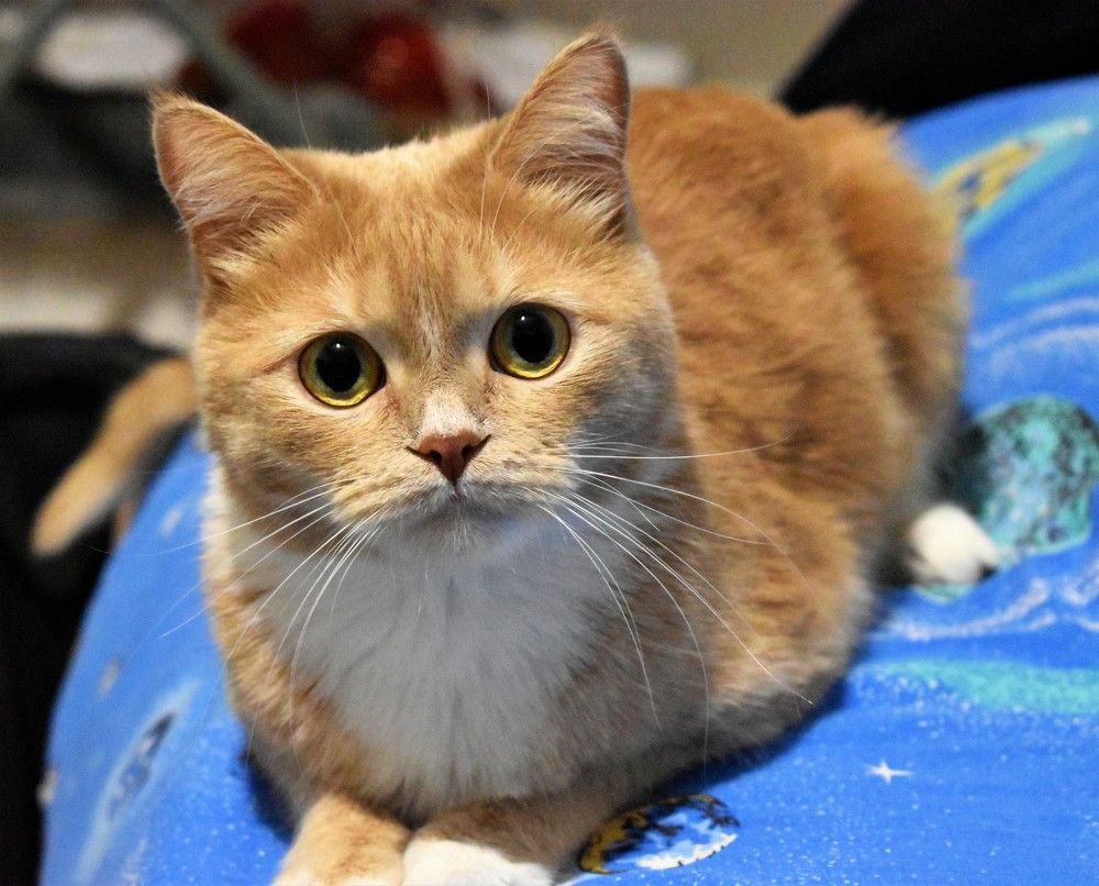 Photograph by Ирина Фирсова