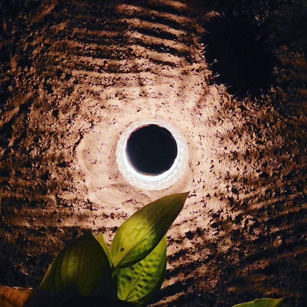 Photograph by Egita Bebrite