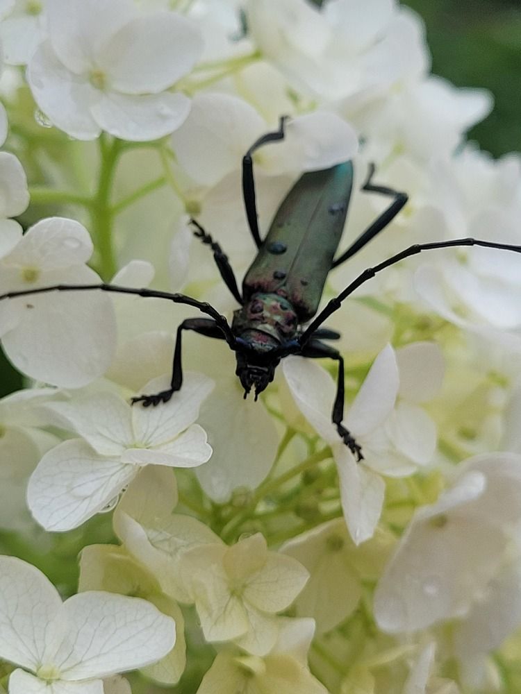 Photograph by Egita Bebrite