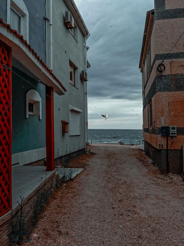 Photograph by Мария Цепилова