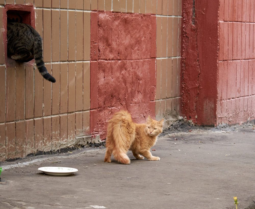 Photograph by Дмитрий Киреев