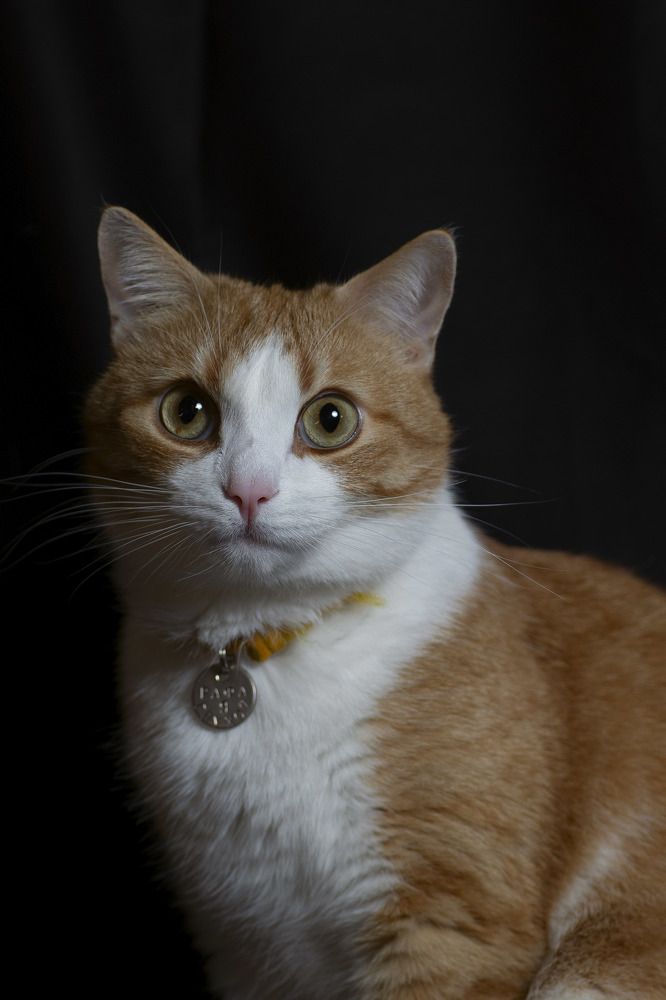 Photograph by Юлия Микульская