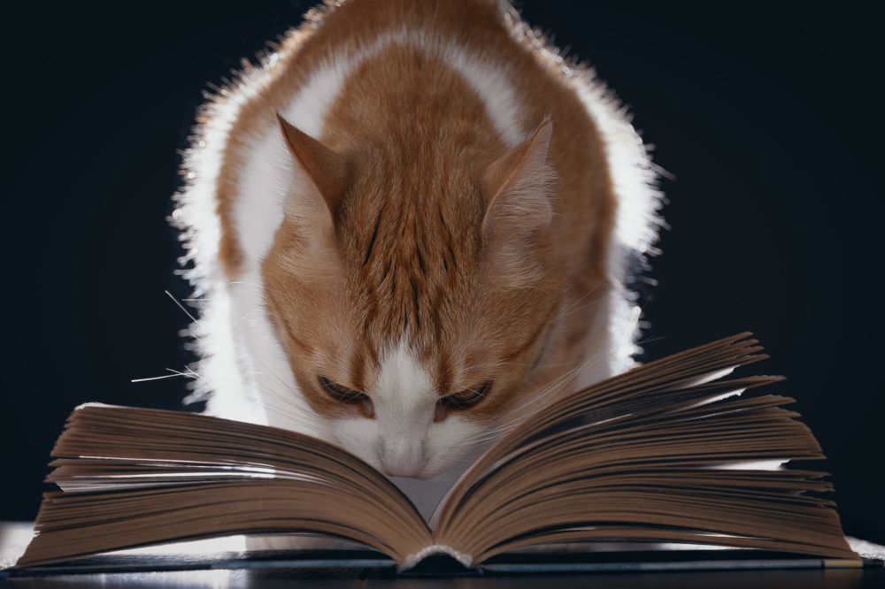 Photograph by Юлия Микульская