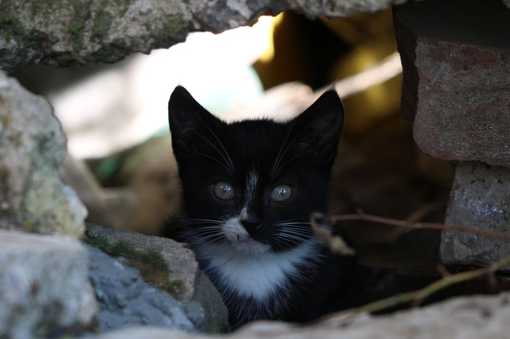 Photograph by Евгений Пакулов