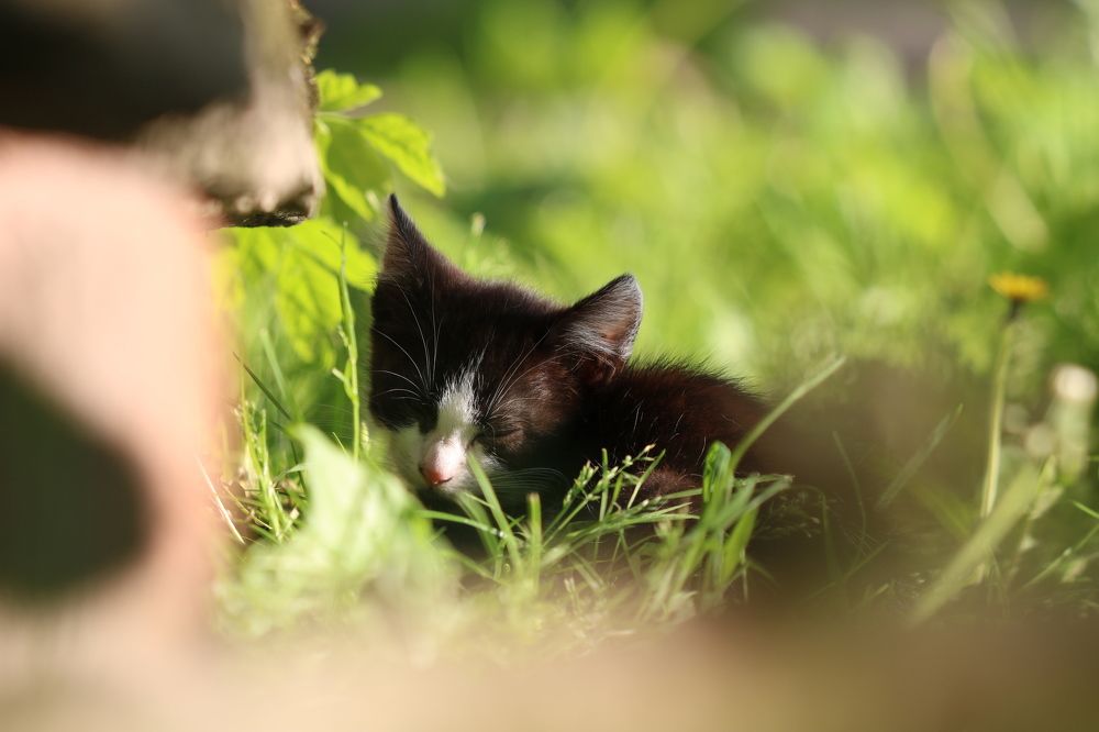Photograph by Евгений Пакулов