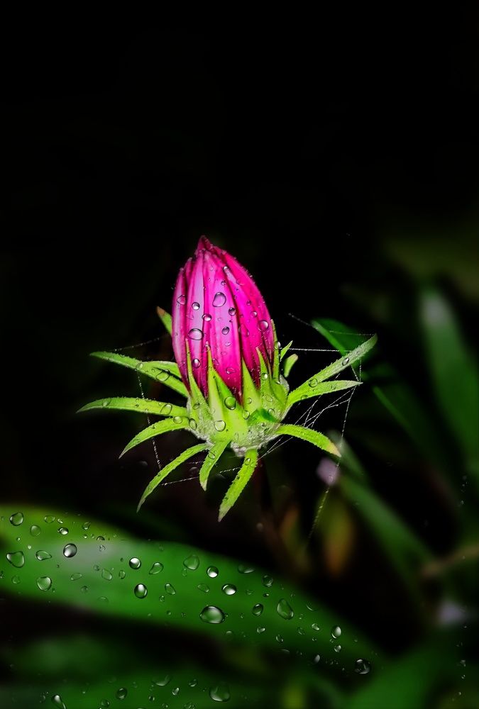 Photograph by Alen Brkić