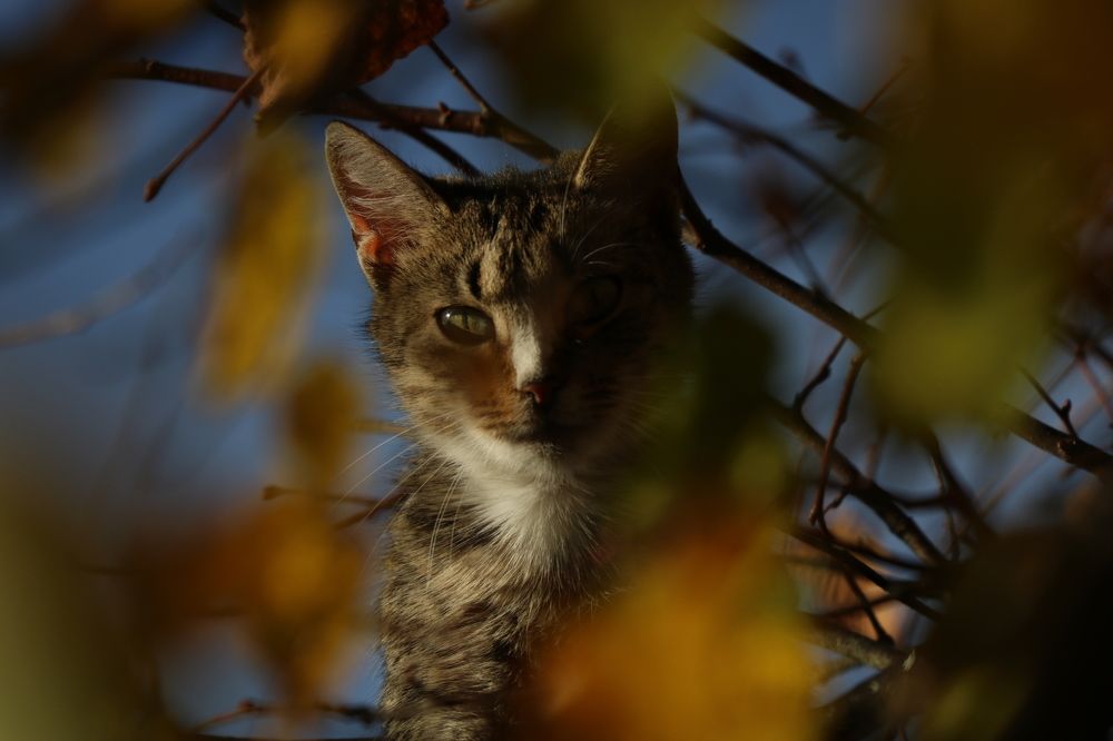 Photograph by Евгений Пакулов