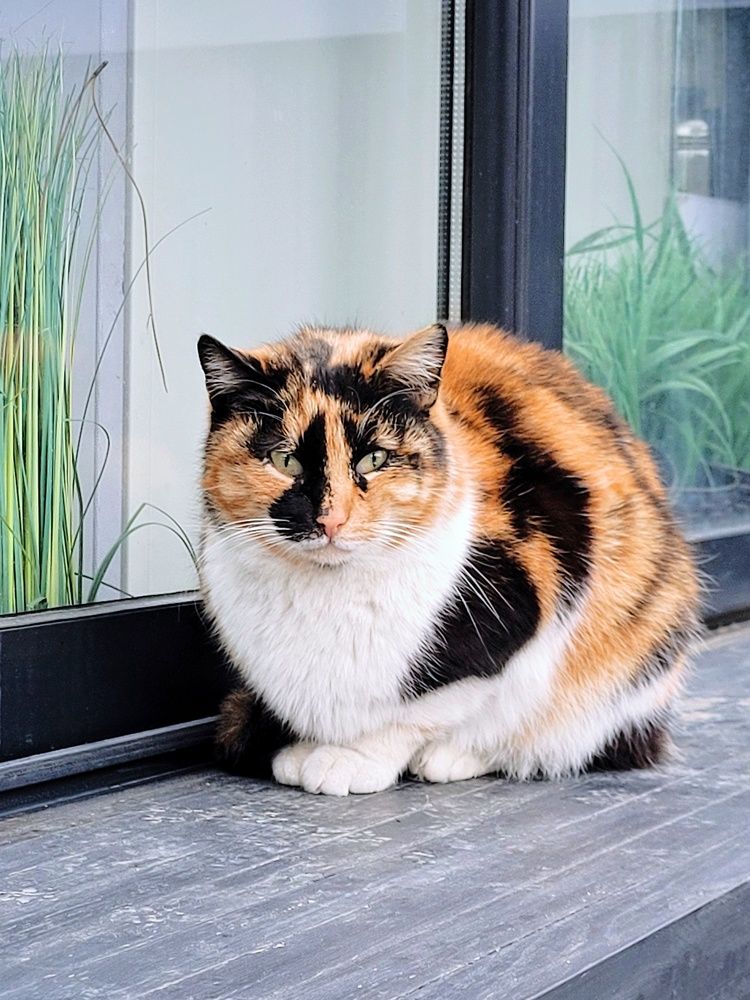 Photograph by Полина Черненко