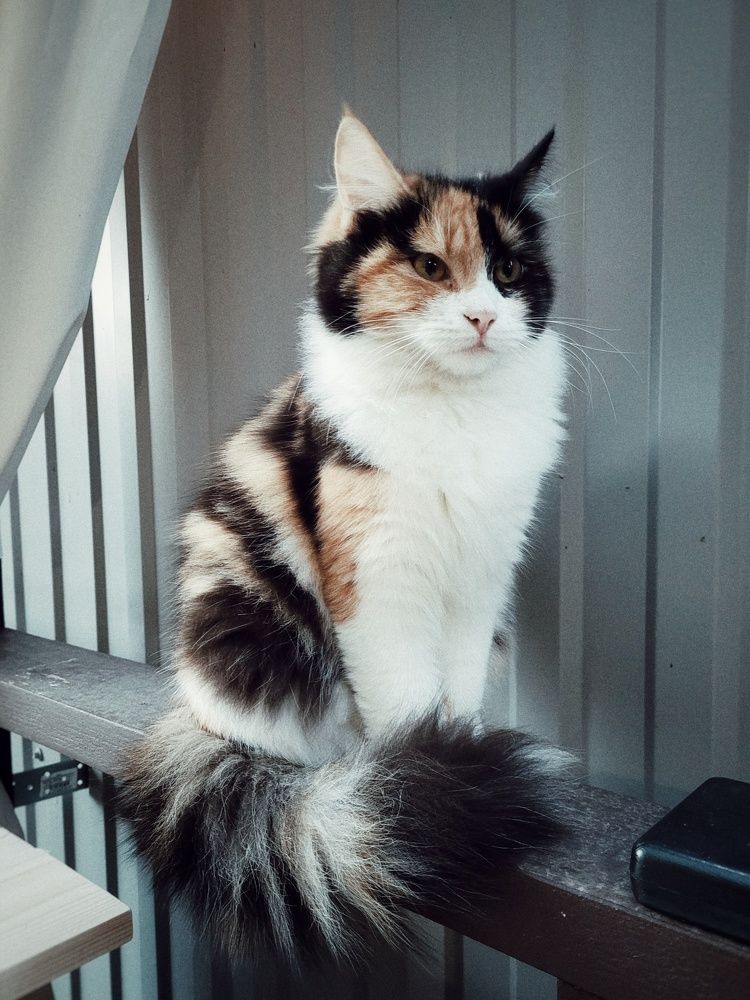 Photograph by Полина Черненко