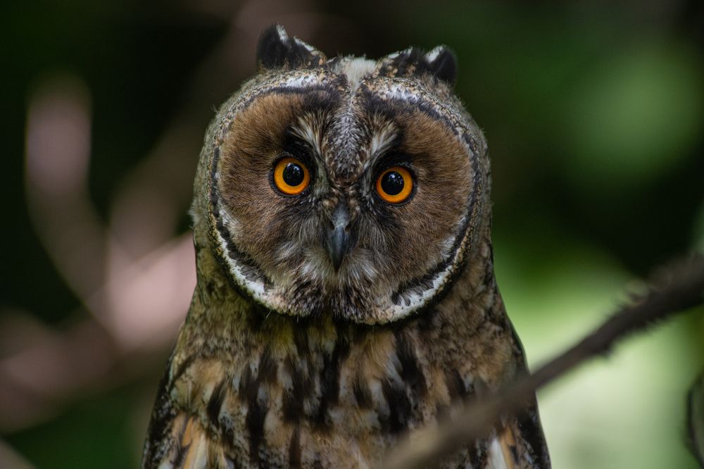 Photograph by Александр Алексеев