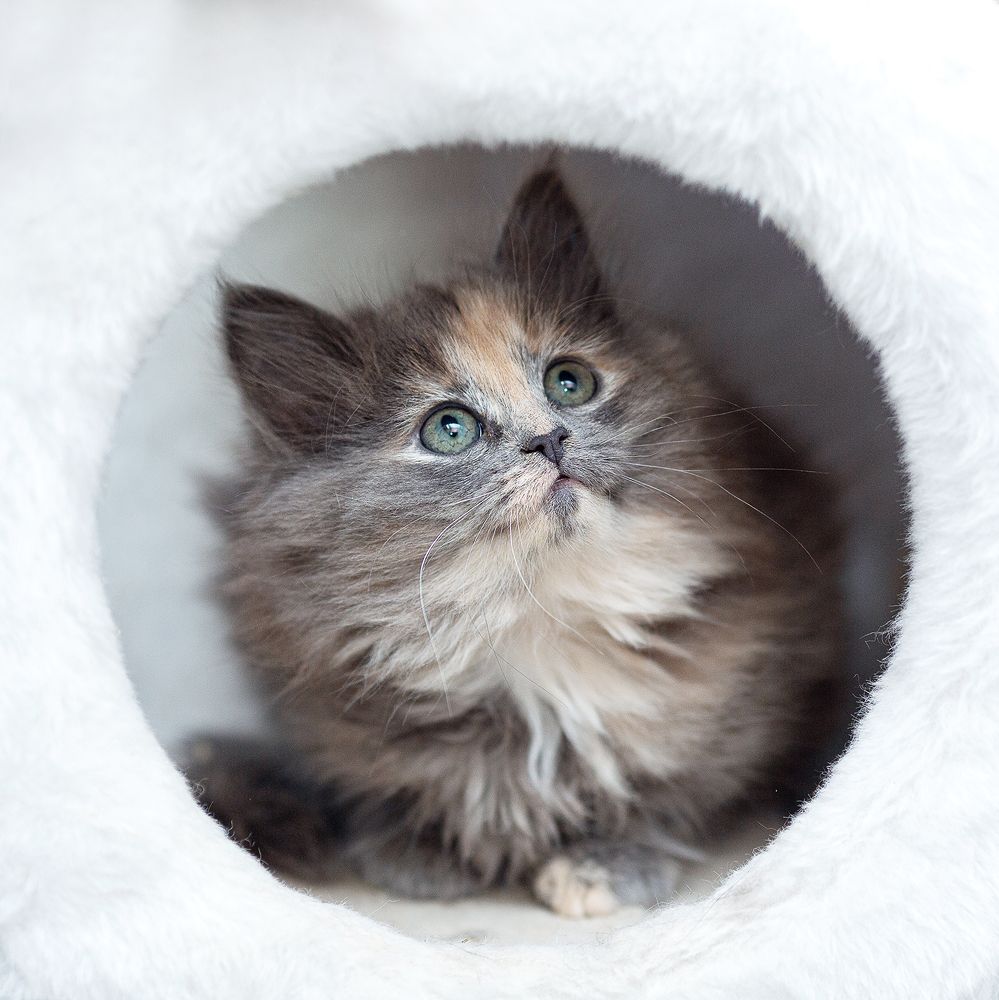 Photograph by Чистякова Валерия