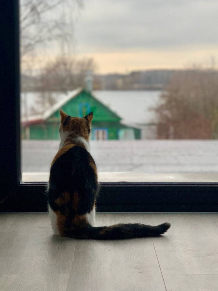 Photograph by Вера Короткова