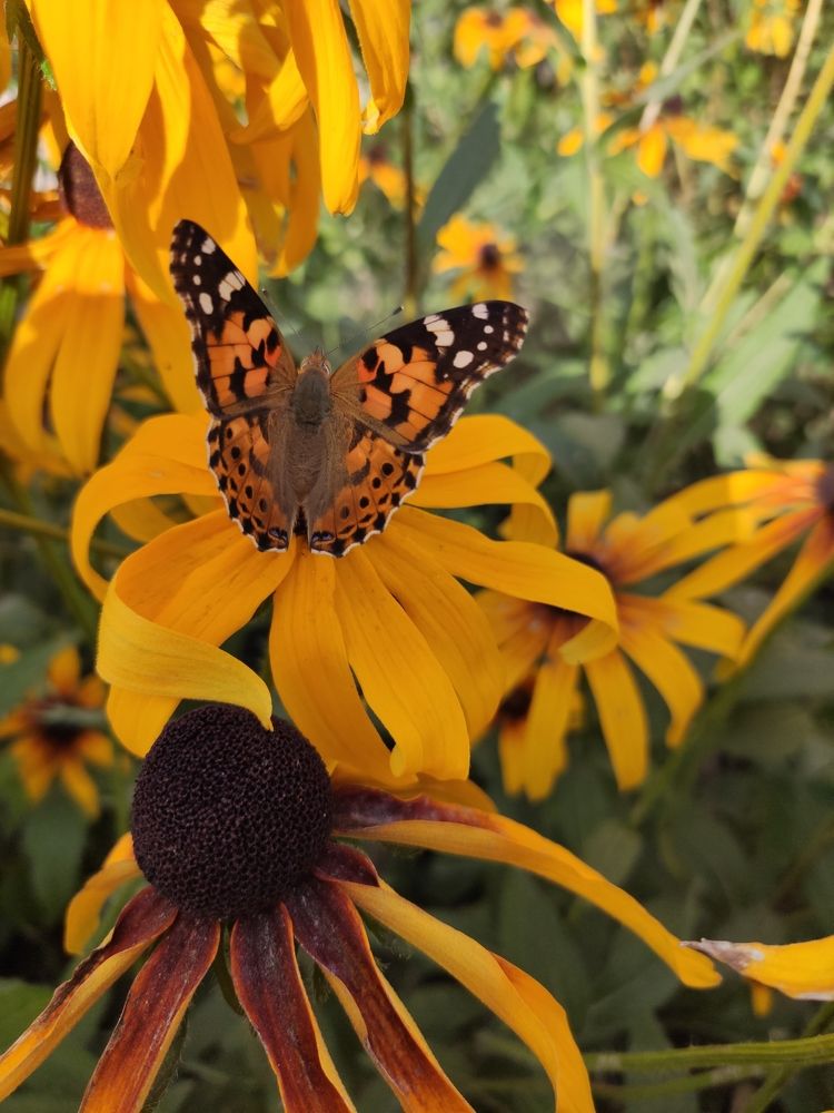 Photograph by Сидорова Ирина