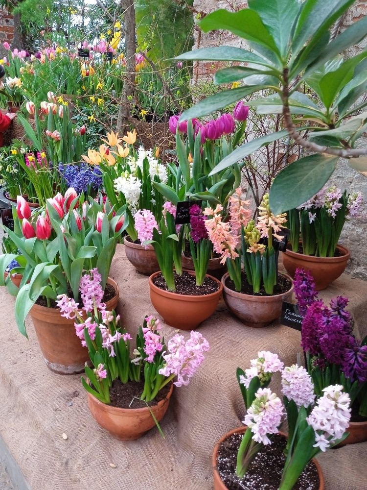 Photograph by Алия Хафизова