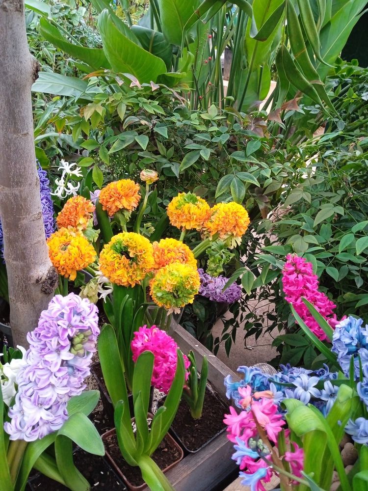 Photograph by Алия Хафизова