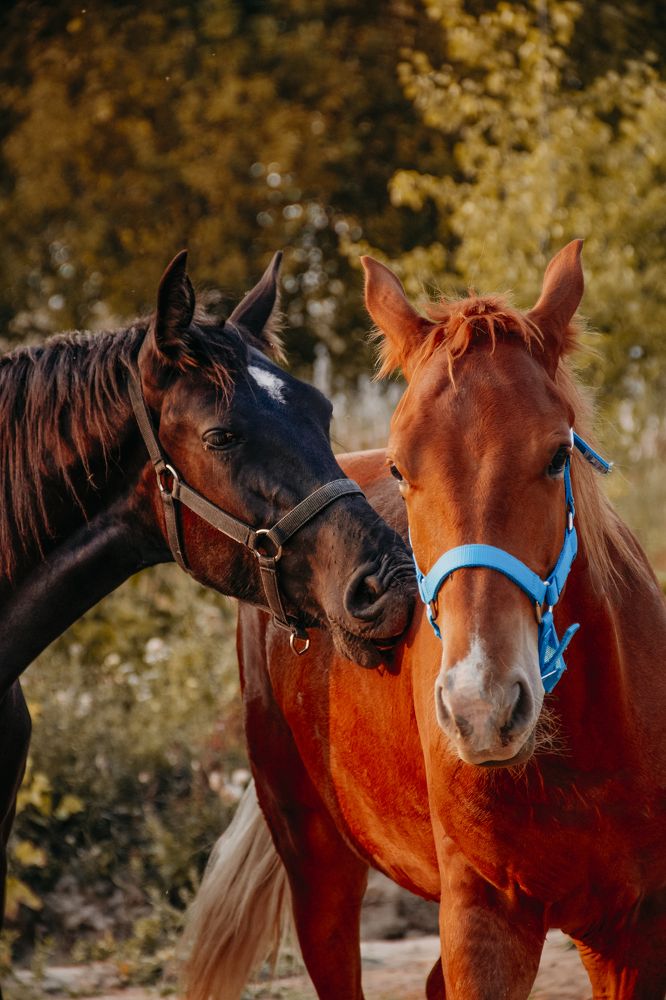 Photograph by Юлия Скворцова