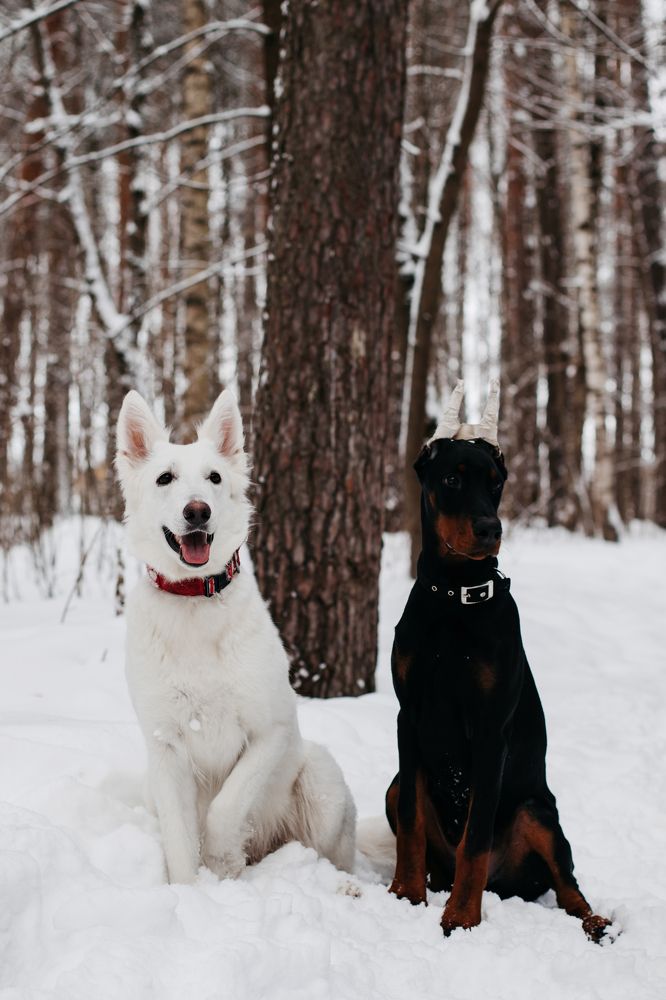 Photograph by Юлия Скворцова