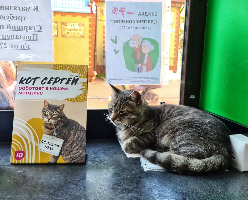 Photograph by Оксана Новикова