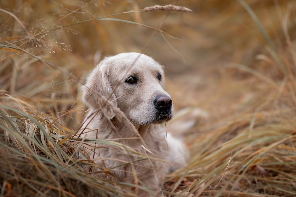 Photograph by Наталия Глазкова