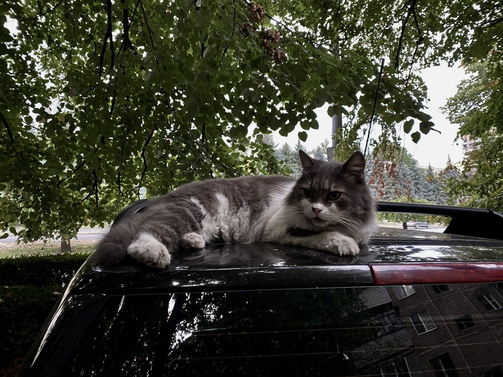 Photograph by Sergei