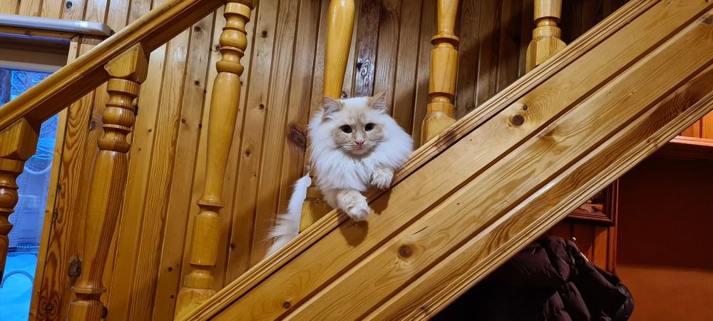 Photograph by Оксана Новикова