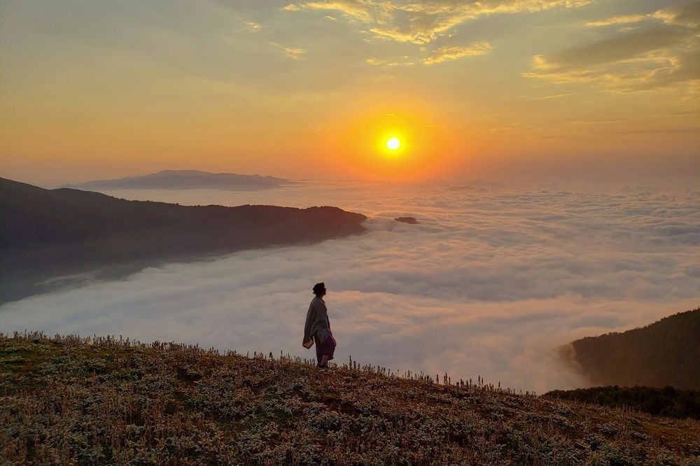 Photograph by amir shadpoor