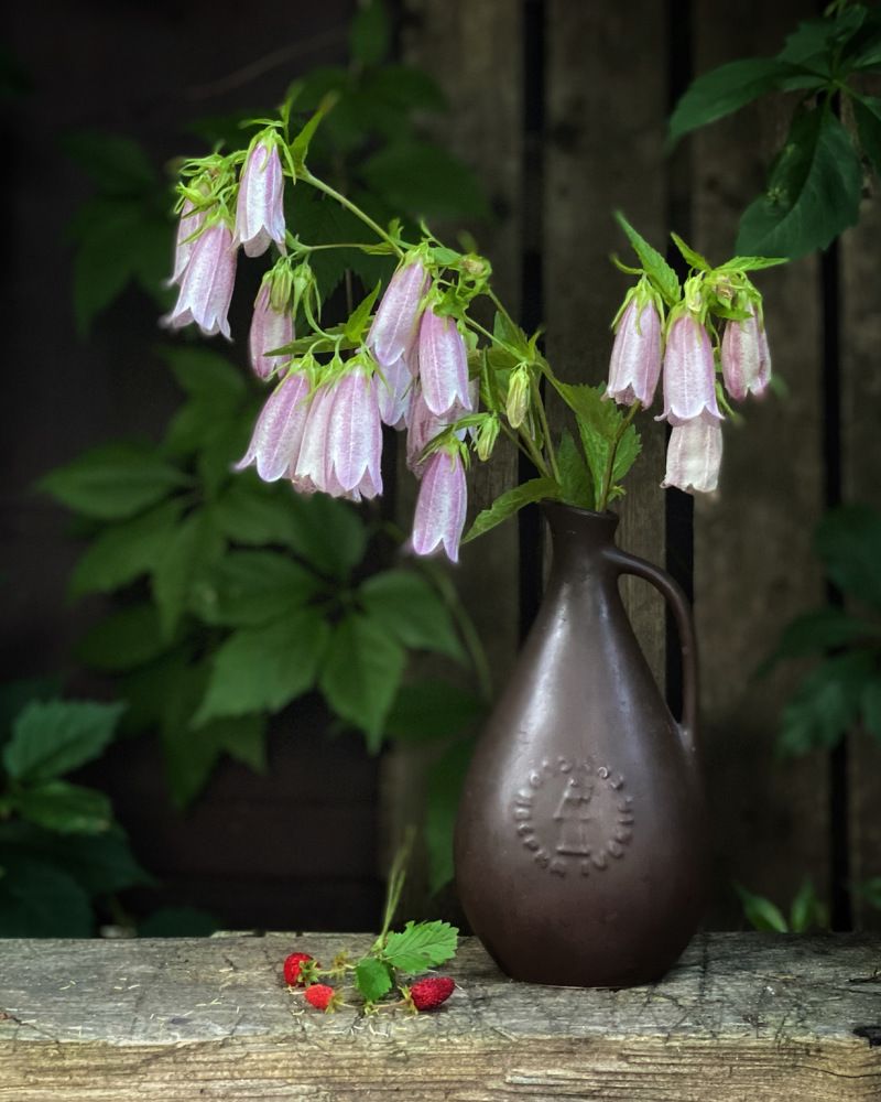 Фотография автора Евгения Иванова