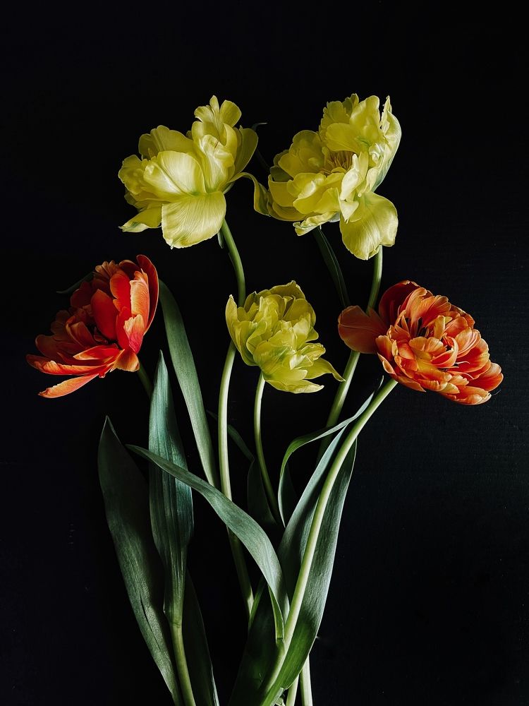 Photograph by Олена Уманцева