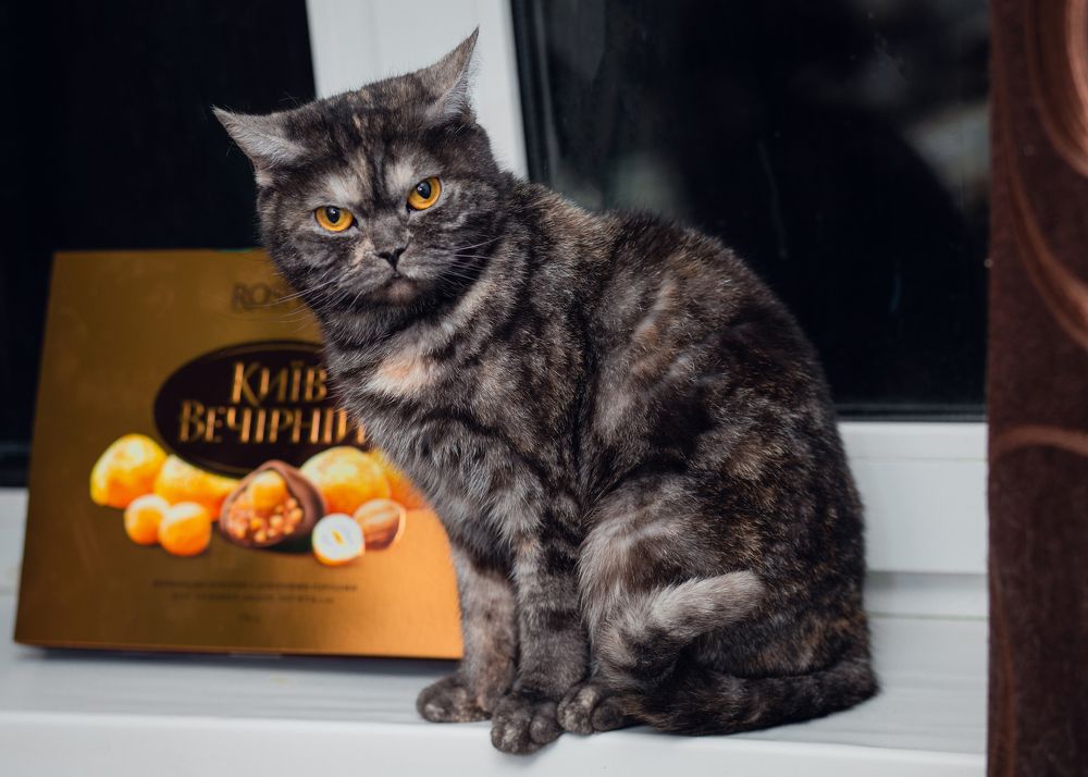 Photograph by Юрий Кущий