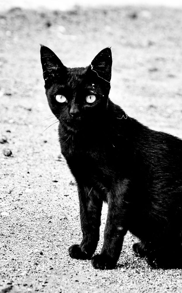 Photograph by Awet Amine